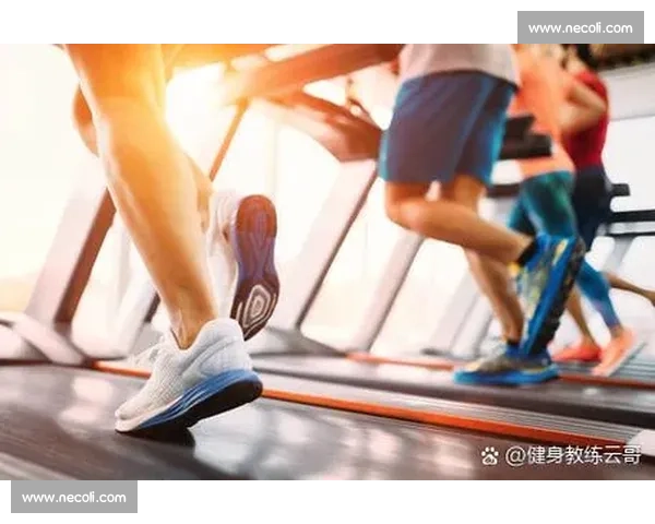 全面解析蛋白补充对健康与体能提升的重要作用与方法