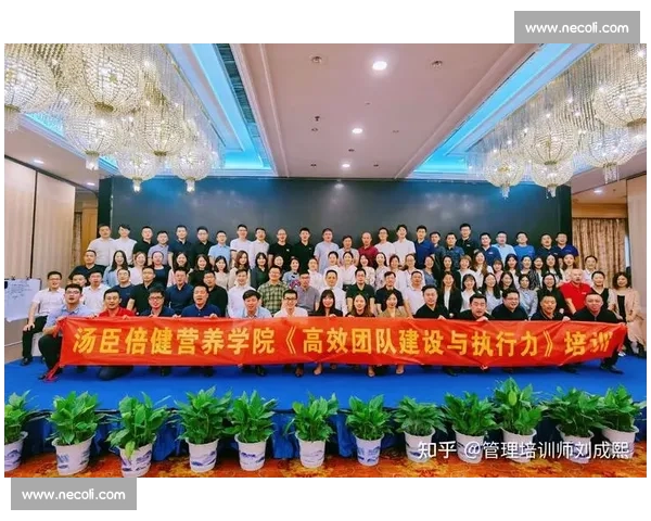 打造高效协作氛围提升团队默契与整体执行力的实践指南