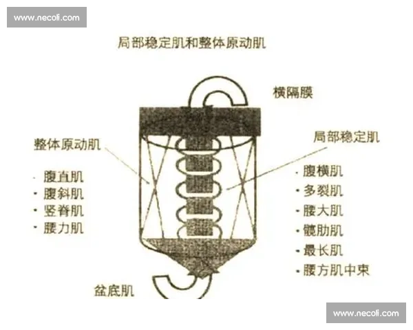 以训练效果为核心提升运动表现的方法与策略分析