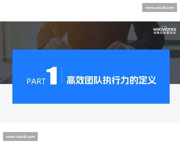 协同作战：提升团队效能与战略执行力的关键路径分析与实践探讨