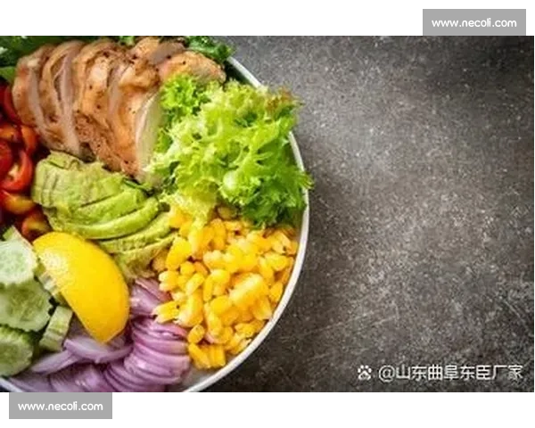 科学规划运动饮食搭配全面提升体能与健康的高效策略指南