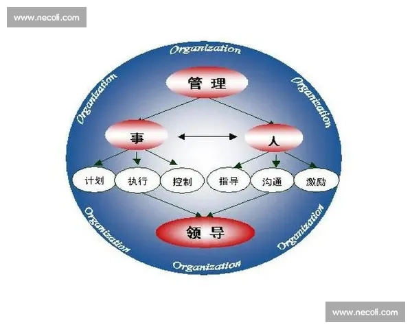以提升体育组织绩效为核心的综合管理与发展策略研究