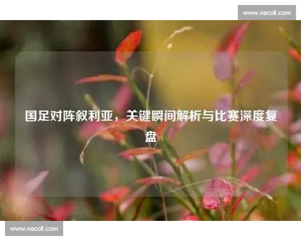 以录像回放为核心的精彩瞬间解析与赛事关键细节深度复盘指南