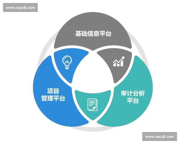 体育赛事与俱乐部运营全流程管理优化研究与实践探索