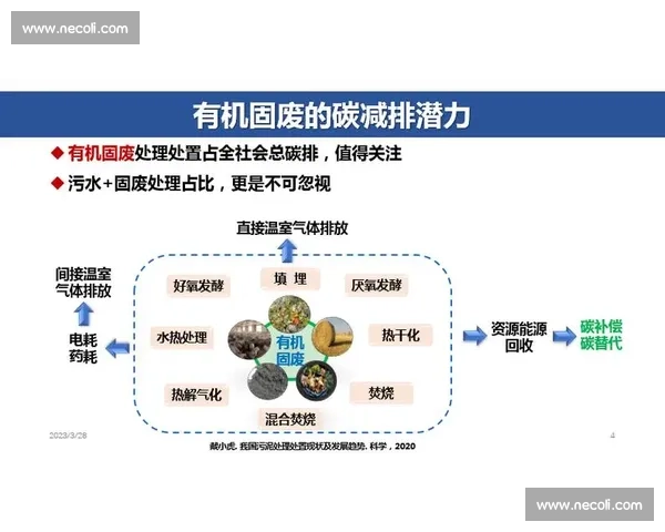 体育管理文化创新与实践路径探索研究与应用分析