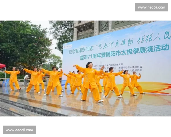 全民健身视角下体育文化活动的创新发展与社会影响研究 全民健身视角下体育文化活动的创新发展与社会影响研究